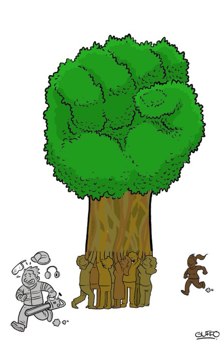 Natura M. Ambiental tweet media