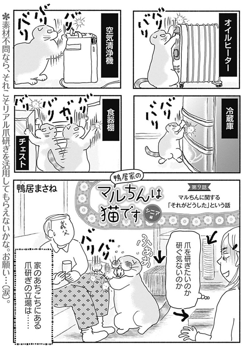 ねこねこ横丁編集部 鴨居まさね先生が描く 鴨居家のマルちんは猫です シニア編 第9話配信スタート 愛され猫マルちんが帰ってきました 他所から見れば些細なことでも 猫を家族に持つ者にはスルーできないことが意外に多かったりして ねこねこ横丁編集部 鴨居まさね先生が描く 鴨居家のマルちんは猫です シニア編 第9話配信スタート 愛され猫マルちんが帰ってきました 他所から見れば些細なことでも 猫を家族に持つ者にはスルーできないことが意外に多かったりして