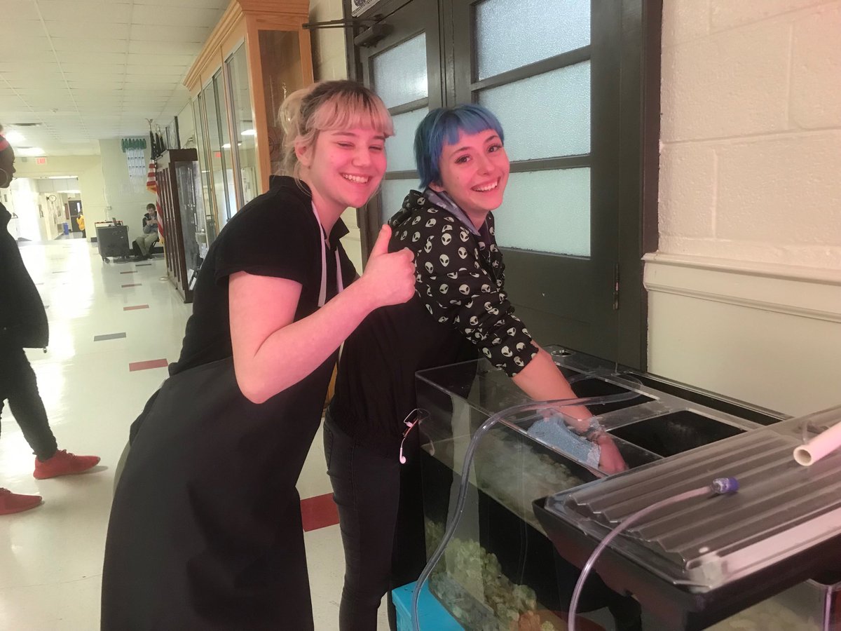 science_anderso's tweet photo. Setting up the large scale #aquaponics system. We are getting ready for tilapia and prawn. #CarverAcad #MakingItREAL #CCPS_Science https://t.co/WKcoOOaZp6
