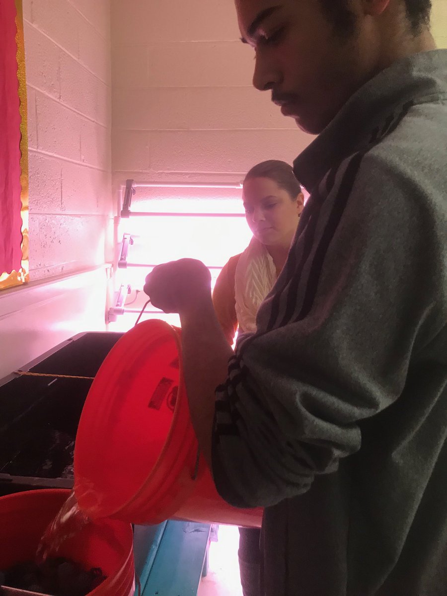 science_anderso's tweet photo. Setting up the large scale #aquaponics system. We are getting ready for tilapia and prawn. #CarverAcad #MakingItREAL #CCPS_Science https://t.co/WKcoOOaZp6