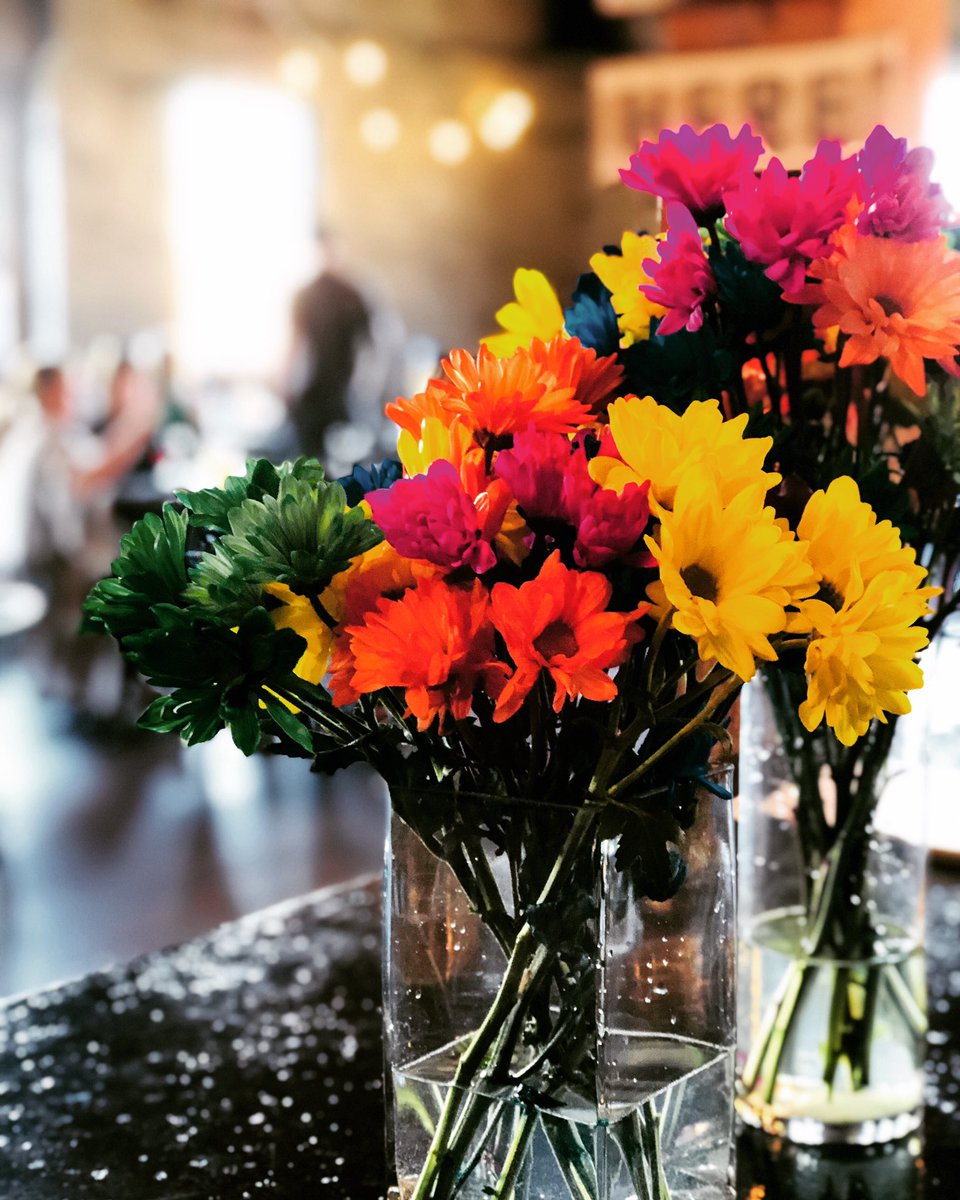 dystopian_state's tweet photo. Because everyone can use a splash of color on their feed #HappySpring2019 https://t.co/esWKUOgBWb