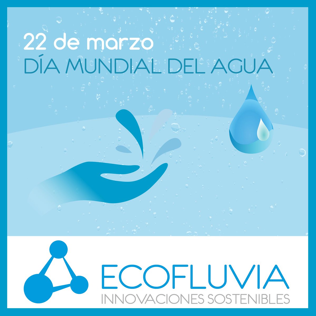 ECOFLUVIA tweet media