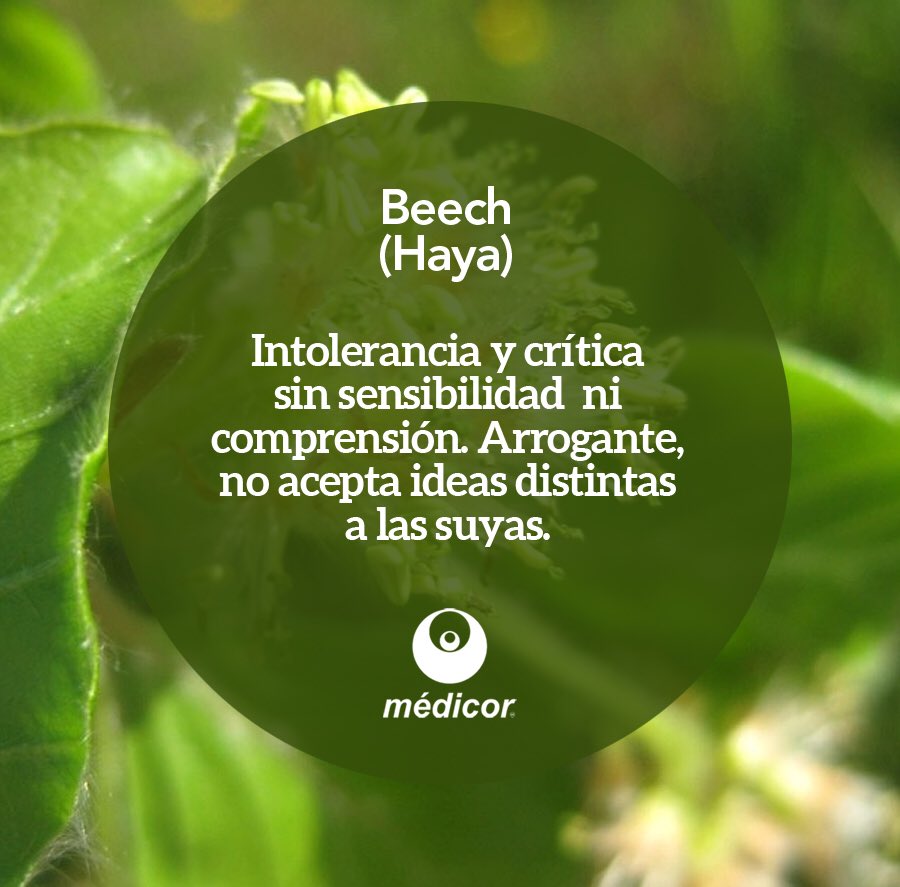 Lab_Medicor's tweet photo. “La naturaleza no es un lujo sino una necesidad del espíritu humano, tan vital como el agua o el buen pan.” 
#FloresDeBach Beech 🍃#LaboratoriosMédicor #homeopathy #homeopatía https://t.co/t9RTELb440