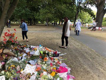 View image on Twitter