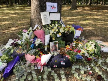 View image on Twitter