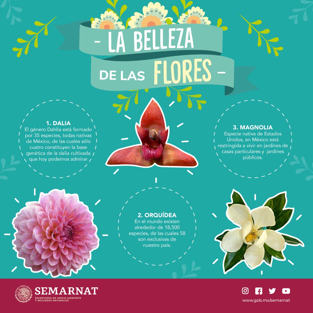SEMARNAT México on Twitter: SEMARNAT México on Twitter: