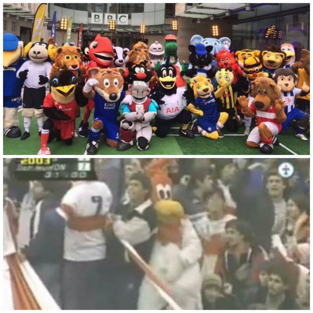 memesfutbolar's tweet photo. La premier tiene muy buenas mascotas, pero ninguna le llega a los talones al gallito de Morón. Donde en esta foto se puede apreciar que está saludando muy amablemente a la hinchada rival. Un ícono de nuestro querido fútbol argentino https://t.co/tPpInf917v