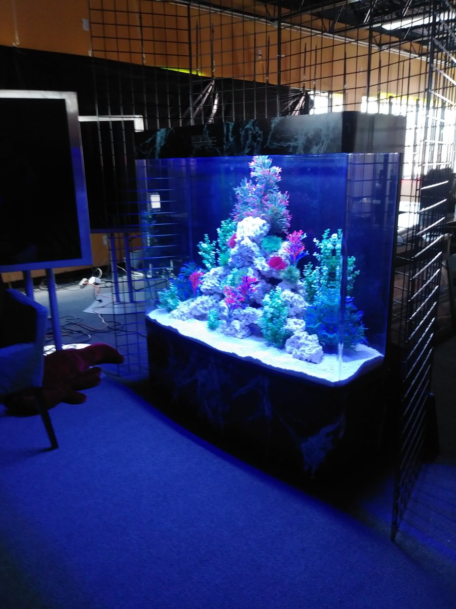 Royal Aquariums Detroit (@aquariums_royal) / Posts / X
