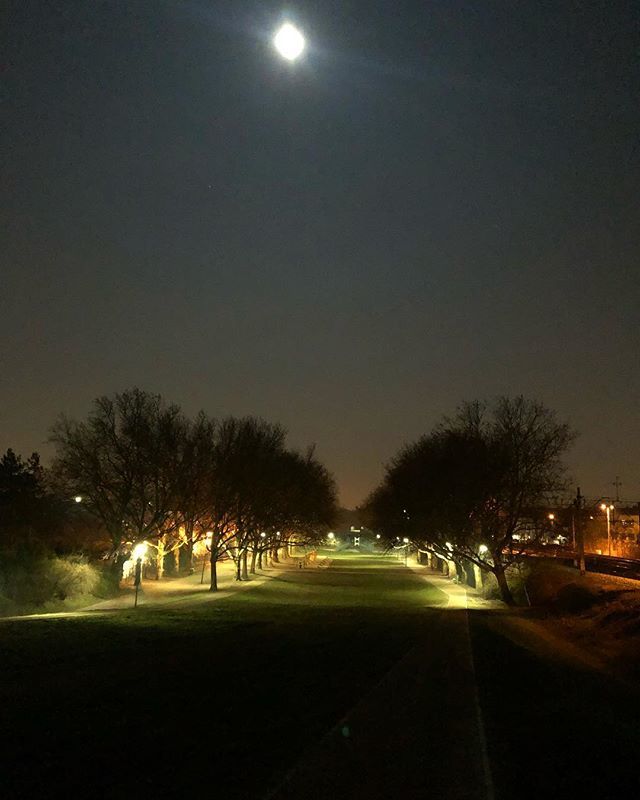 HostelBemma's tweet photo. Spring night #🌕 #nightwalk #hostel #citywalk #wroclawbynight #wroclaw #wrocław #breslau #night #city #moon #hostelería #poland #travel #travelblogger #hostelbrasil ✌🏿#freewalk #hostelbemma #2019 #🙏🏿spring #spring #24h #europe #hostellife😍 https://t.co/tuRIAG8IkZ https://t.co/DaVzY77sfd