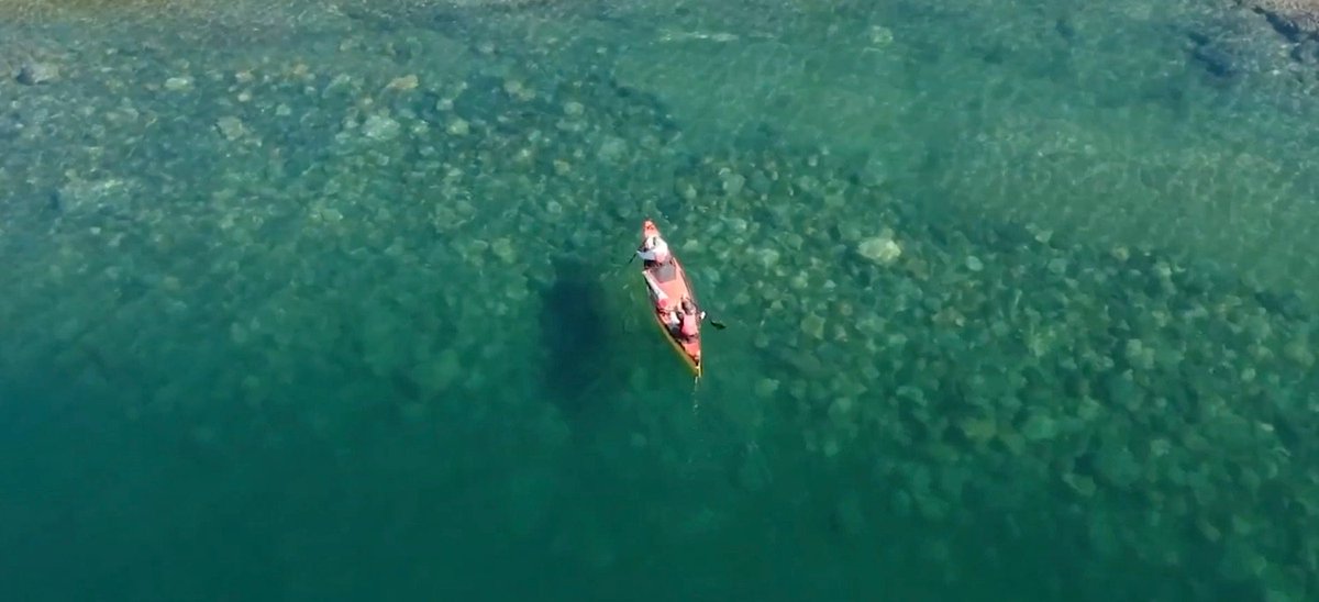 Traversing's tweet image. Tune in right now to the premiere of 10 Days #Canoeing Lake Superior with @ExplBackcountry #PaddleOn

traversing.ca/blog/2019/3/21…