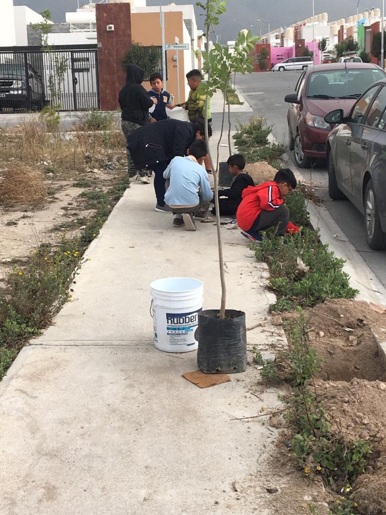 PVEM_Saltillo's tweet photo. Esta tarde llevamos acabo una #Reforestación en la Col. Colinas de Santiago con el apoyo de padres de familia que reconocen la importancia del cuidado y protección de nuestras #ÁreasVerdes, inculquemos a las nuevas generaciones esta importancia por un #Saltillo más #Verde https://t.co/jKKHR73zHd