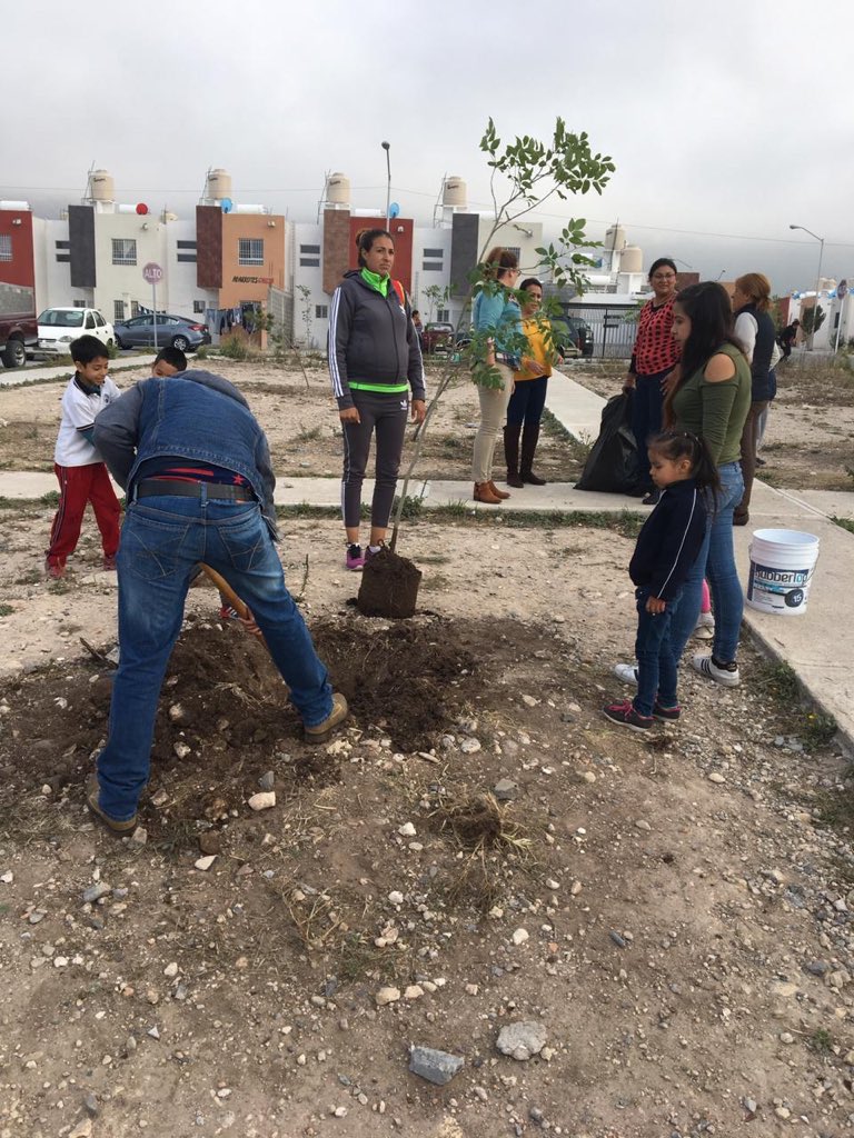 PVEM_Saltillo's tweet photo. Esta tarde llevamos acabo una #Reforestación en la Col. Colinas de Santiago con el apoyo de padres de familia que reconocen la importancia del cuidado y protección de nuestras #ÁreasVerdes, inculquemos a las nuevas generaciones esta importancia por un #Saltillo más #Verde https://t.co/jKKHR73zHd