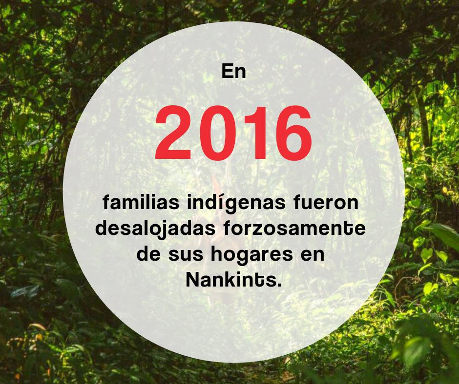 Seve_Sharupi's tweet photo. #Nankints
El conflicto minero en la cordillera del Condor, un tema no resuelto. El Estado ecuatoriano y las empresas impulsan supuestas consultas maniatadas, éstas deben quedar sin efecto y las concesiones anuladas. @coicaorg @UNSR_VickyTauli @confeniae1 @LeoDiCaprio @ONUMedioAmb https://t.co/pvBkGHMzMU