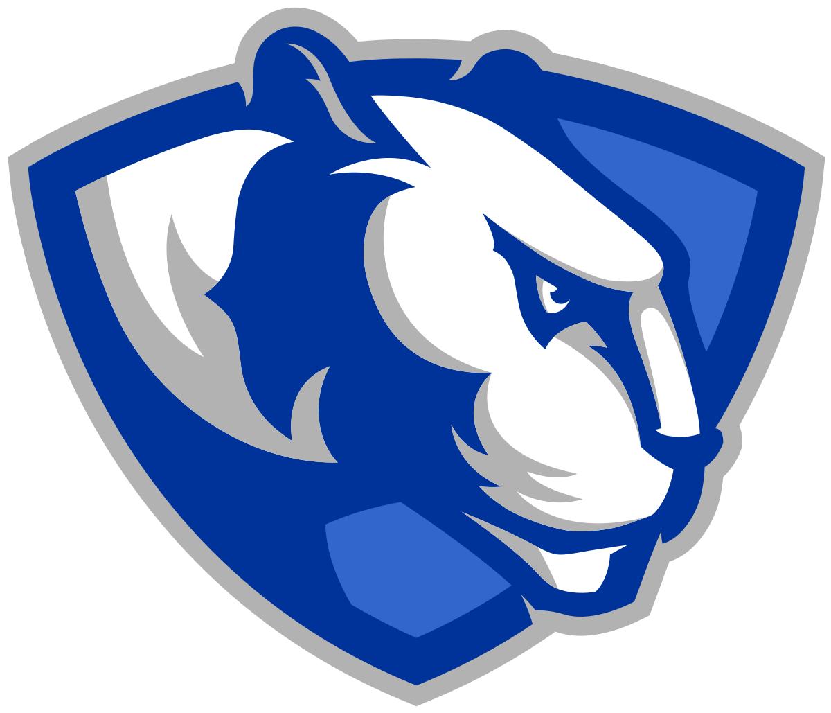 CSmithScout's tweet photo. Lawrence Central (IN) DE/LB Davier Fairrow tells me he will be attending Jr Day this weekend at #EasternIllinois .................#Panthers #MVC
#Bears #Indy20
#CSS https://t.co/4HnDjpeLwl