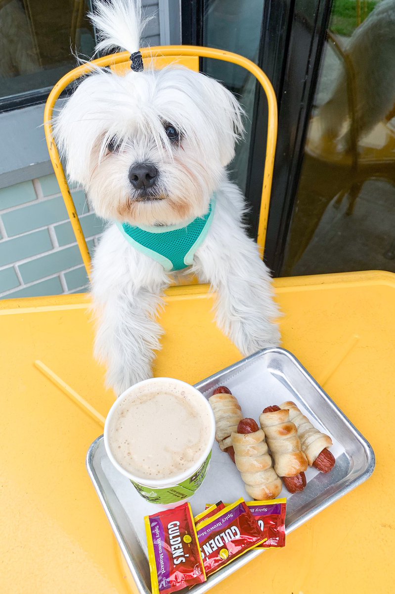 thelunaonthego's tweet photo. Itโs a โtreat yo selfโ kind of Thursday. I canโt resist these bagel dogs from Golden Bagel ๐ Have you tried them yet? ๐ถ๐โ
โ
#lunaonthego #bagels #hungrypup #treatyoself #dogsofhouston #pupfoodie #bageldog #goldenbagel @GoldenBagelsHTX @DogsofInstagram https://t.co/eNJHqe0OFZ
