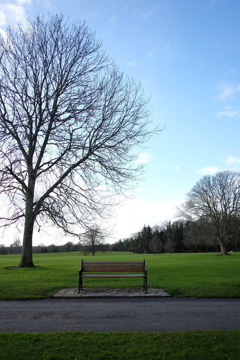 กิ้งกือที่ขาดรองเท้า tweet media