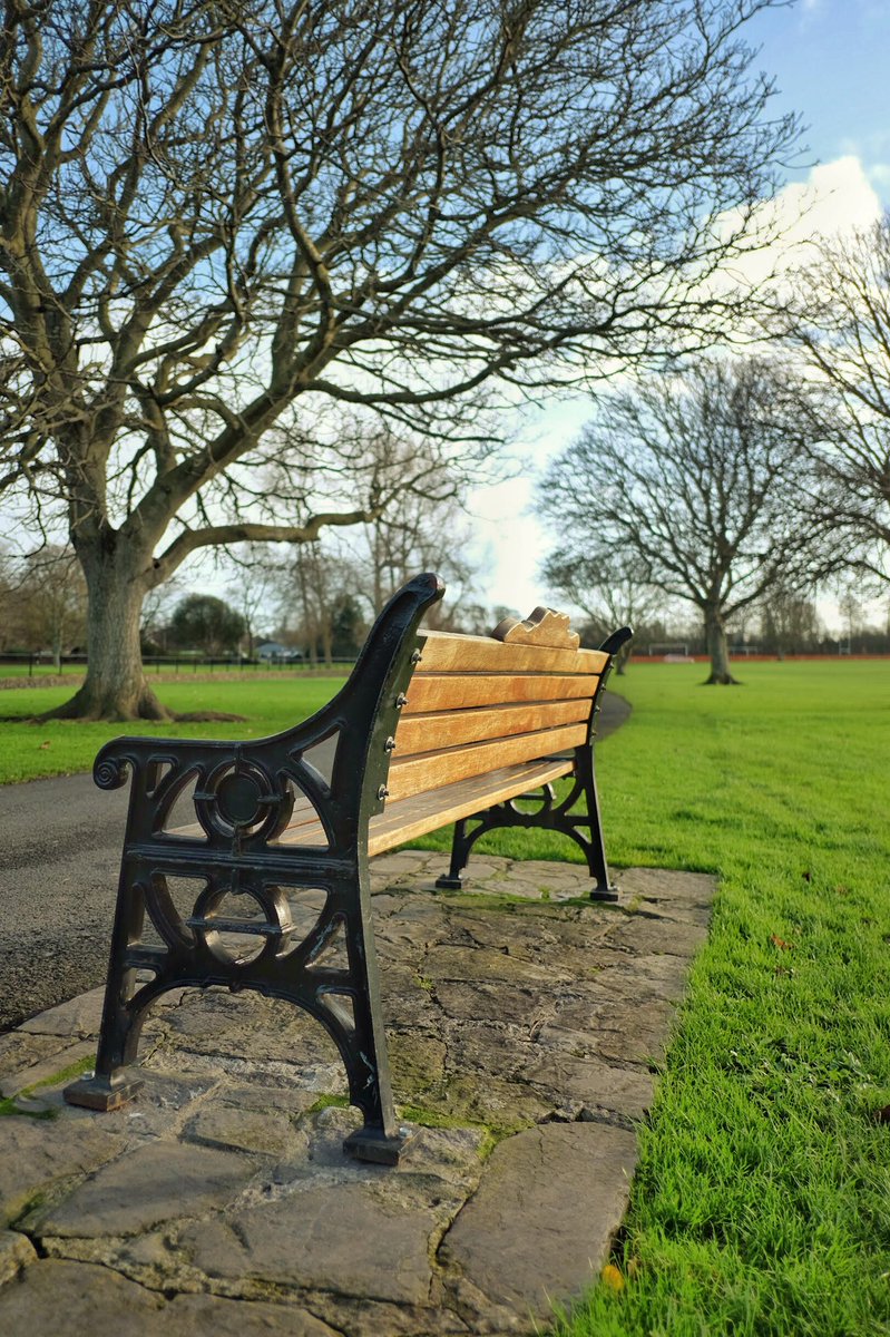 กิ้งกือที่ขาดรองเท้า tweet media