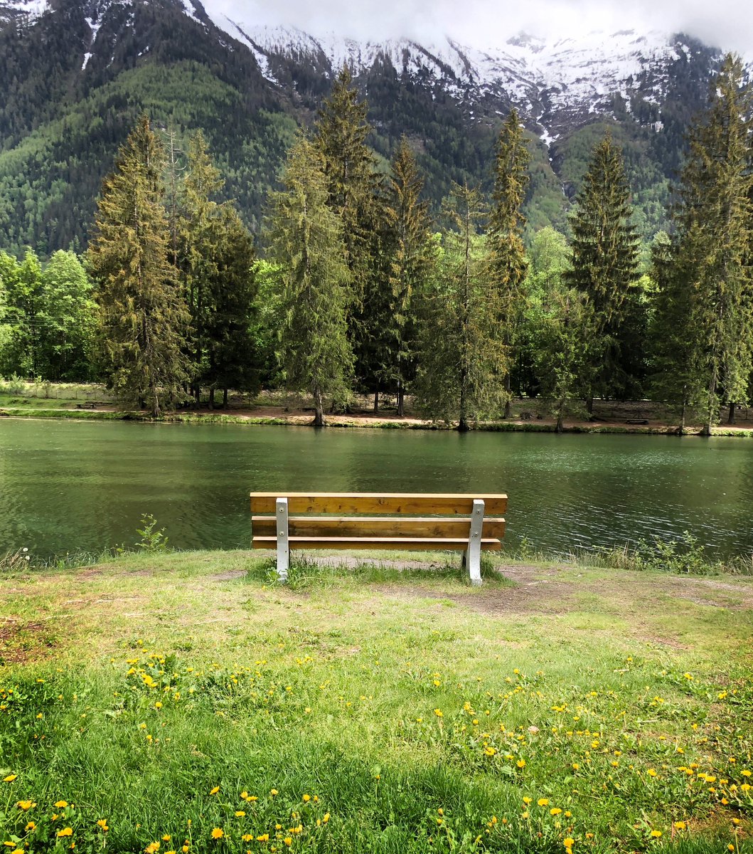 กิ้งกือที่ขาดรองเท้า tweet media