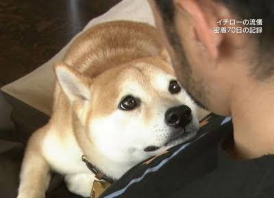一弓 一弓