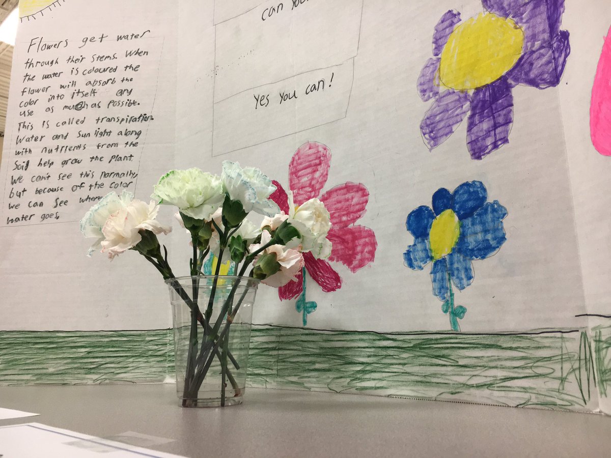 Techyteach16's tweet image. We had biology, cryptography, physics, engineering, chemistry and more. This years STEM Fair blew me away! #WhyITeach #cridgepride #Discover