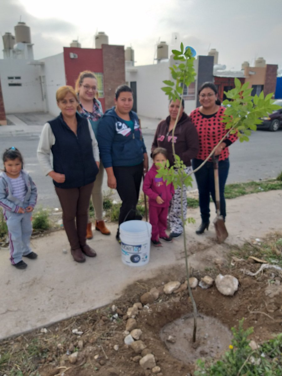 JOSEREFUGIOSR's tweet photo. Esta tarde acompañe a miembros @PVEM_Saltillo a la Col. Colinas de Santiago donde realizamos una #Reforestación con apoyo de #PadresDeFamilia y #Niños q da gusto ver como se involucran y reconocen la importancia del cuidado y mantenimiento de las #ÁreasVerdes #Saltillo https://t.co/mE1T9dyOS3