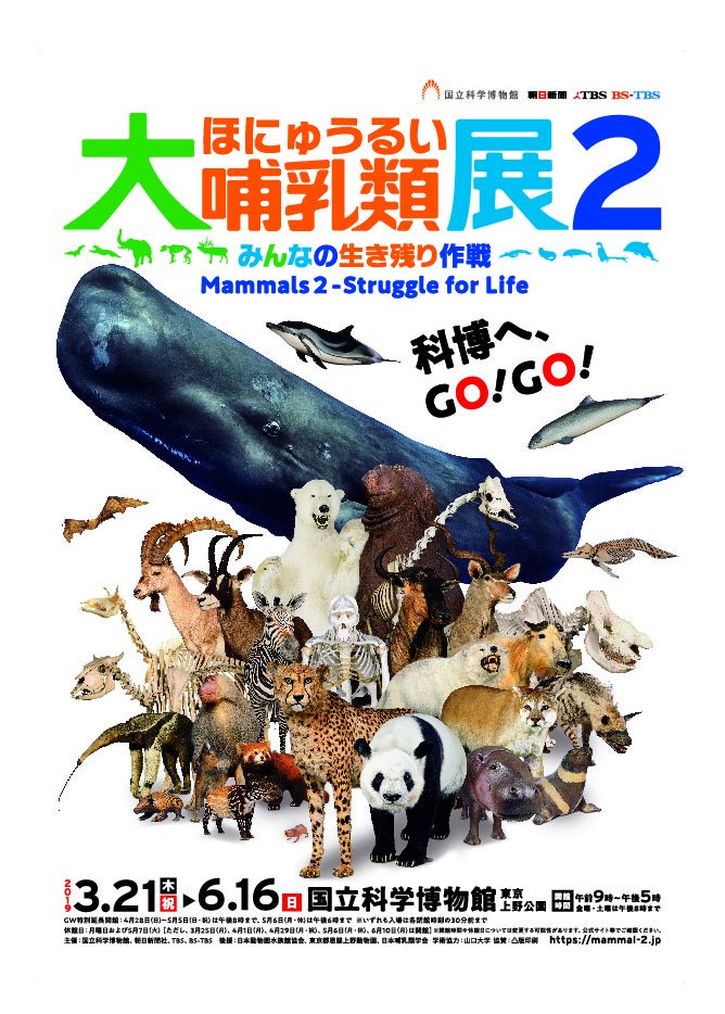 上野動物園 公式 国立科学博物館と相互割引実施中 上野動物園と大哺乳類展2 Mammals2 19では 相互割引を実施中です それぞれのチケットをカウンターでお見せいただくと 入園料金 観覧料金が割引となります