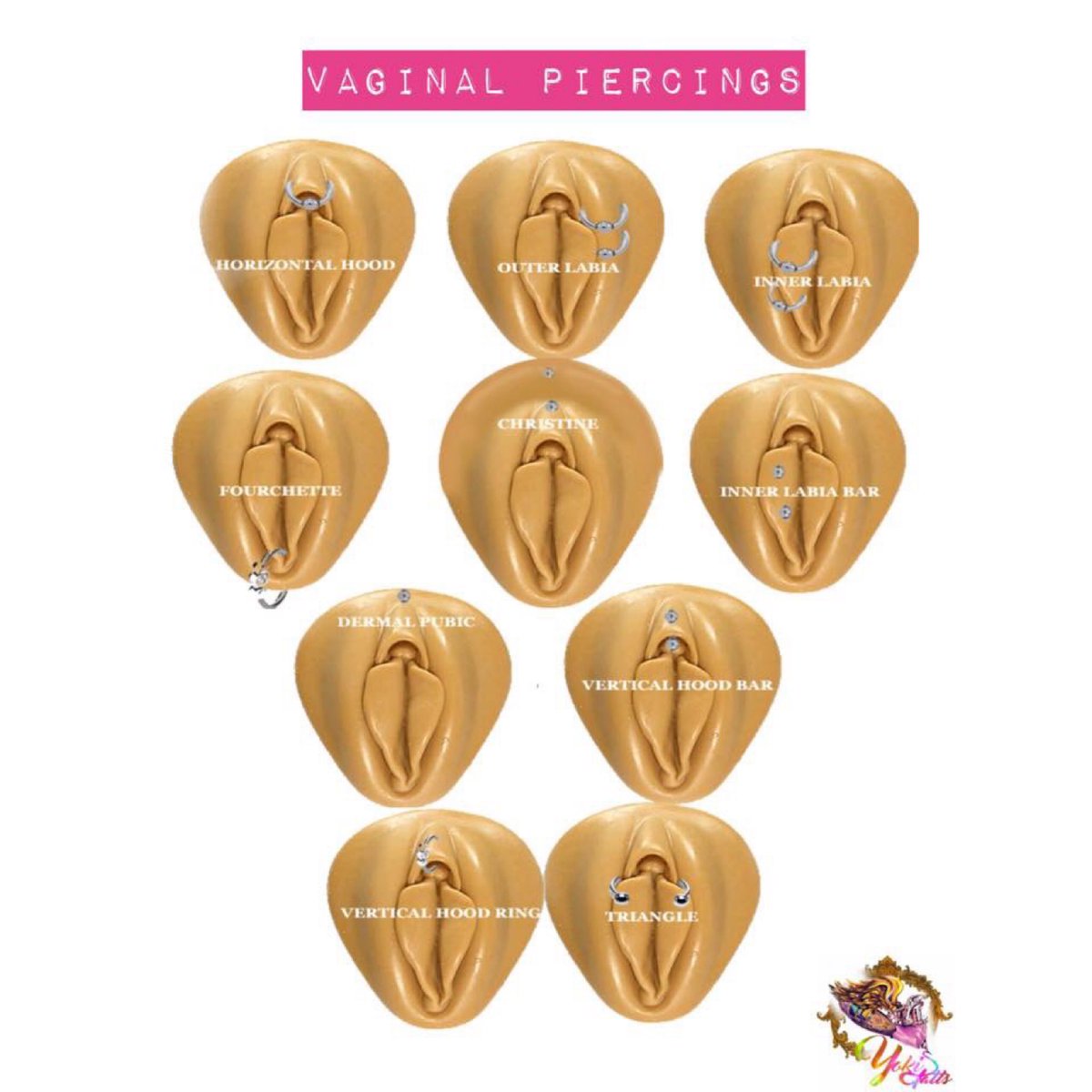 Piercing vulva Category:Clitoral hood