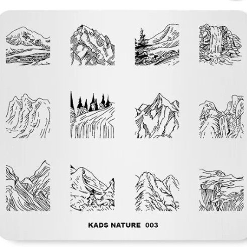 Kadsnailart's tweet photo. Nail design using KADS stamping plate Nature 003 from AliExpress store(link in bio). #nails #kads #kadsnailart #nailart #nailfashion #nailwork #naildesigns #nailplates #nailpolish #nailartaddict #aurora #travelnails #winternails #galaxynails #starrynails #starrynight https://t.co/puD7E2ake6