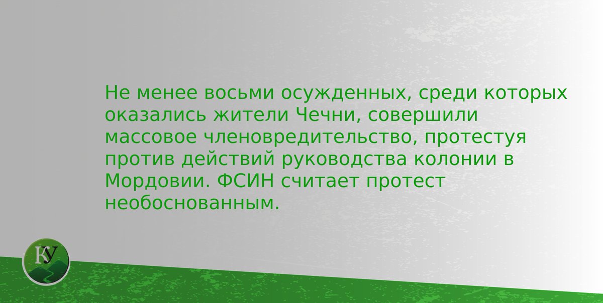 caucasianknot's tweet image. Заключенные мордовской колонии из Чечни проткнули животы в знак протеста.

Подробнее: kavkaz-uzel.eu/articles/33328…

#Мордовия #протест #заключенные #колония