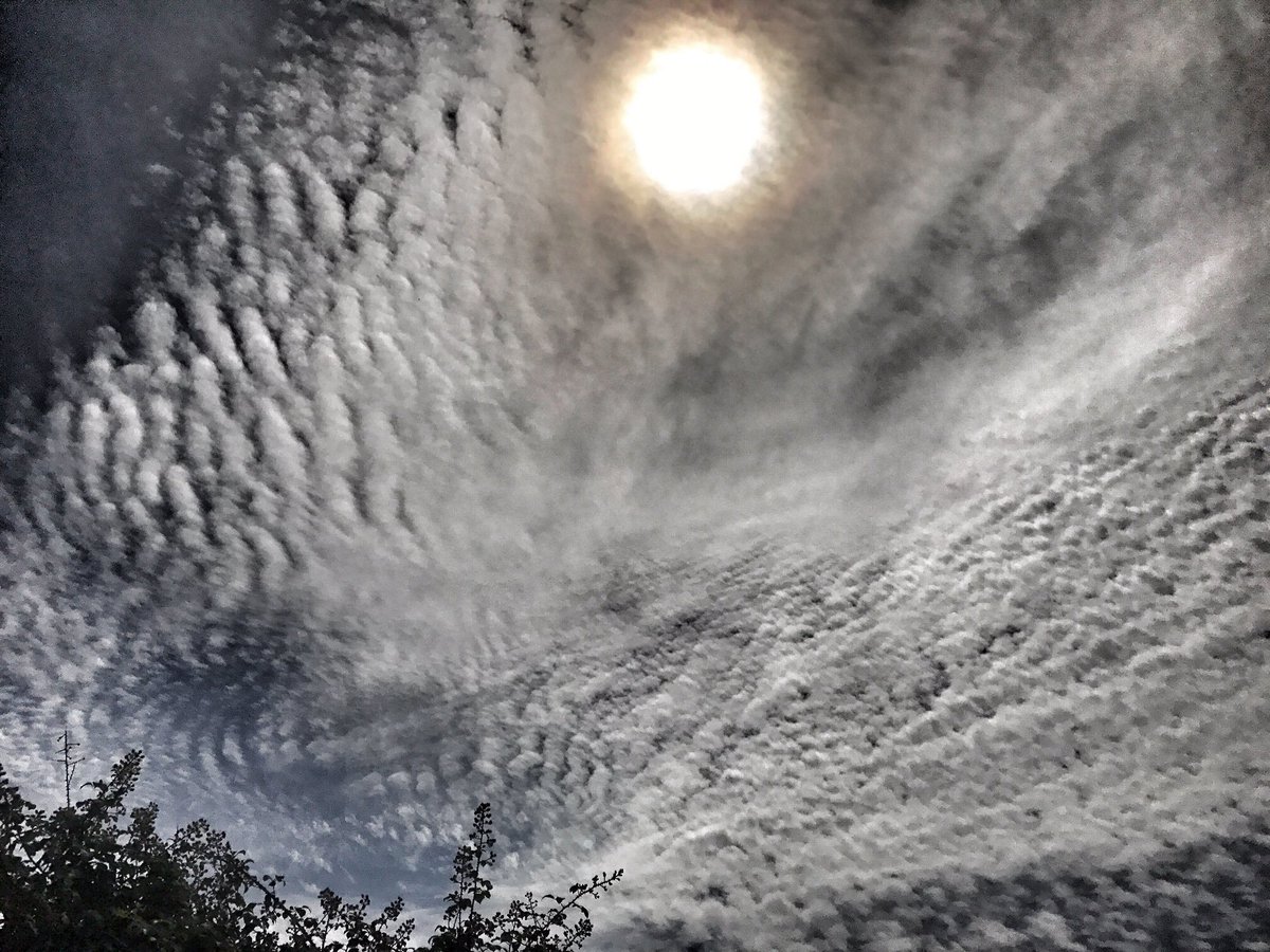 RonEdrote's tweet photo. LOOK: Catching the Cirrocumulus sky using 50x optical zoom digital camera. #Cirrocumulus https://t.co/fModw3H2vI