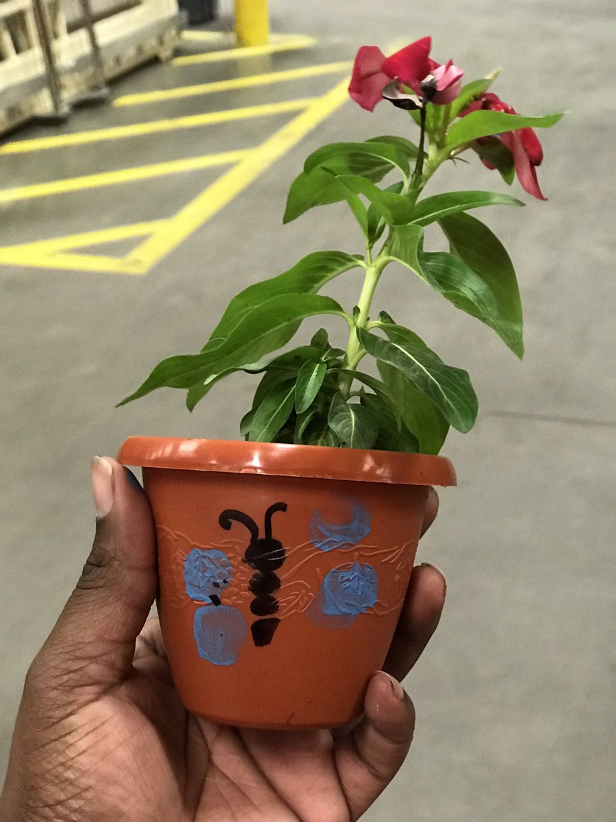 JessicaBrownTHD's tweet photo. We kicked today off with a Pre-K field trip! We had such a fun time painting flower pots and planting flowers! #FirstDayOfSpring 🌸 ☀️ 🦋 https://t.co/Z8Jpqdb4sn
