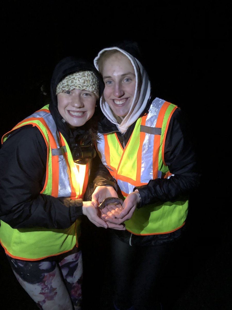 zentroutbum's tweet photo. Great night with a great crew at the โSally Rallyโ amphibian tally at French Creek. #EnvBio #MustangNation representing strong! https://t.co/EeOPqZko2e
