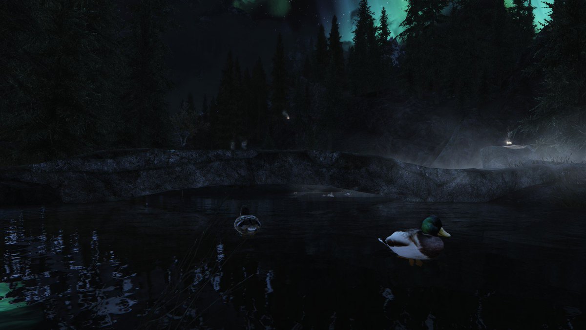 ThaumPenguin's tweet photo. Skyrim is now, complete https://t.co/RabB5WQTs0