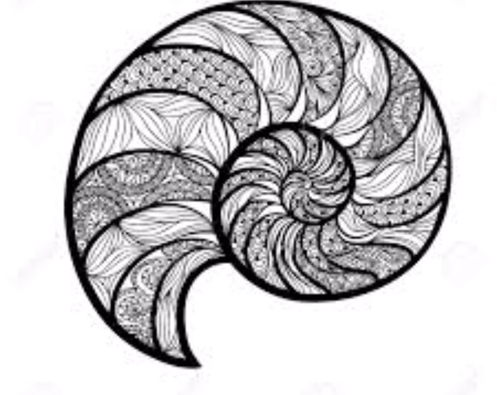 Bee Peeraphatdit tweet media