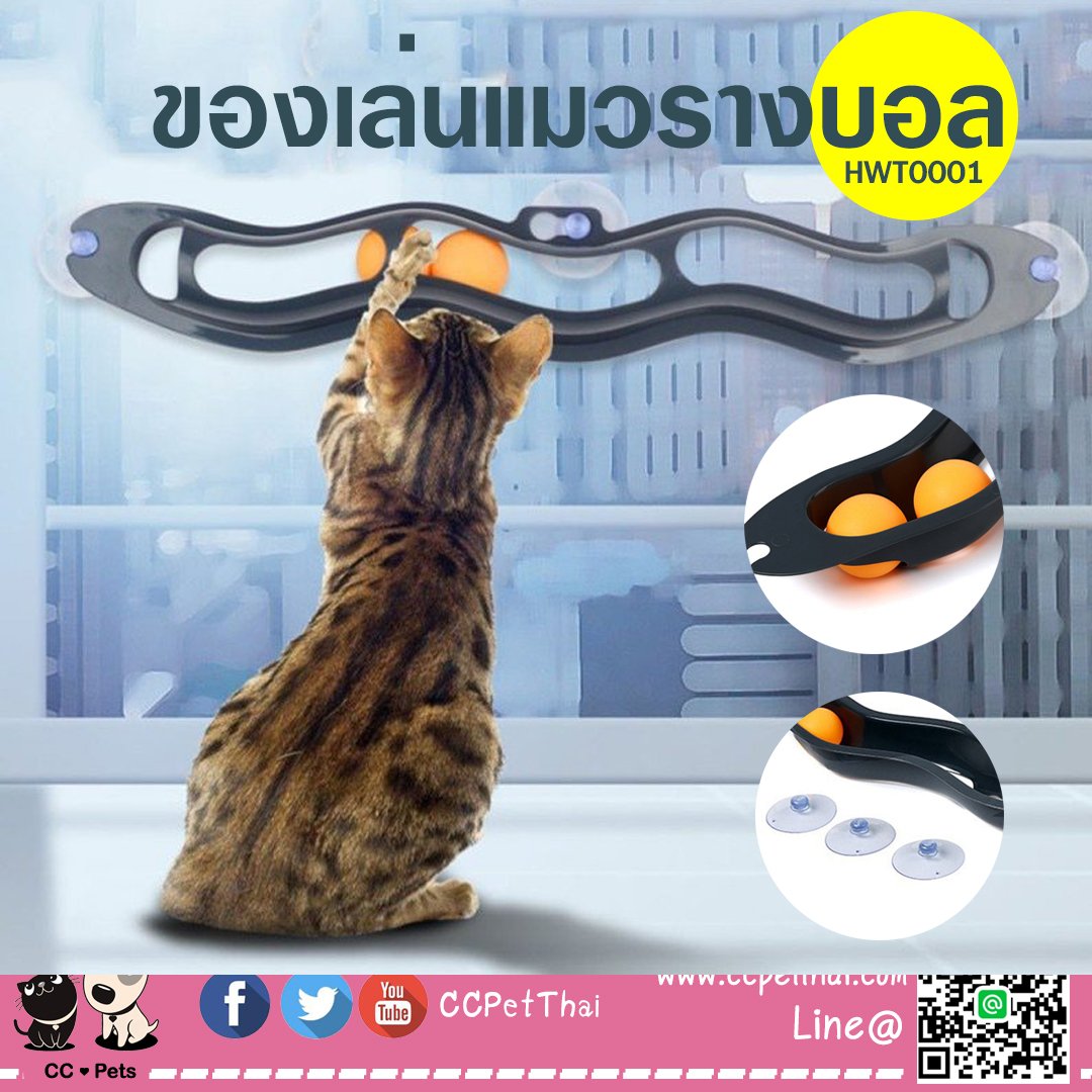 ccpetthai's tweet photo. CCPet ขอเสนอของเล่นบอลราง มีที่ติดผนัง
☑️ของเล่นบอลรางสุดนิยมของน้องแมว ที่ทาสๆ ก็รู้กันดี สำหรับรุ่นใหม่นี้จะวางบนผืนก็ได้ หรือไปติดผนังด้วยตัวยึดแบบดูด เหมาะกับติดกระจกหรือผนังมัน
#อุปกรณ์สัตว์เลี้ยง #สัตว์เลี้ยง
https://t.co/6WhSOoaAAw
line : @ccpet
FB : CCPetThai https://t.co/g9UFWO4PfG