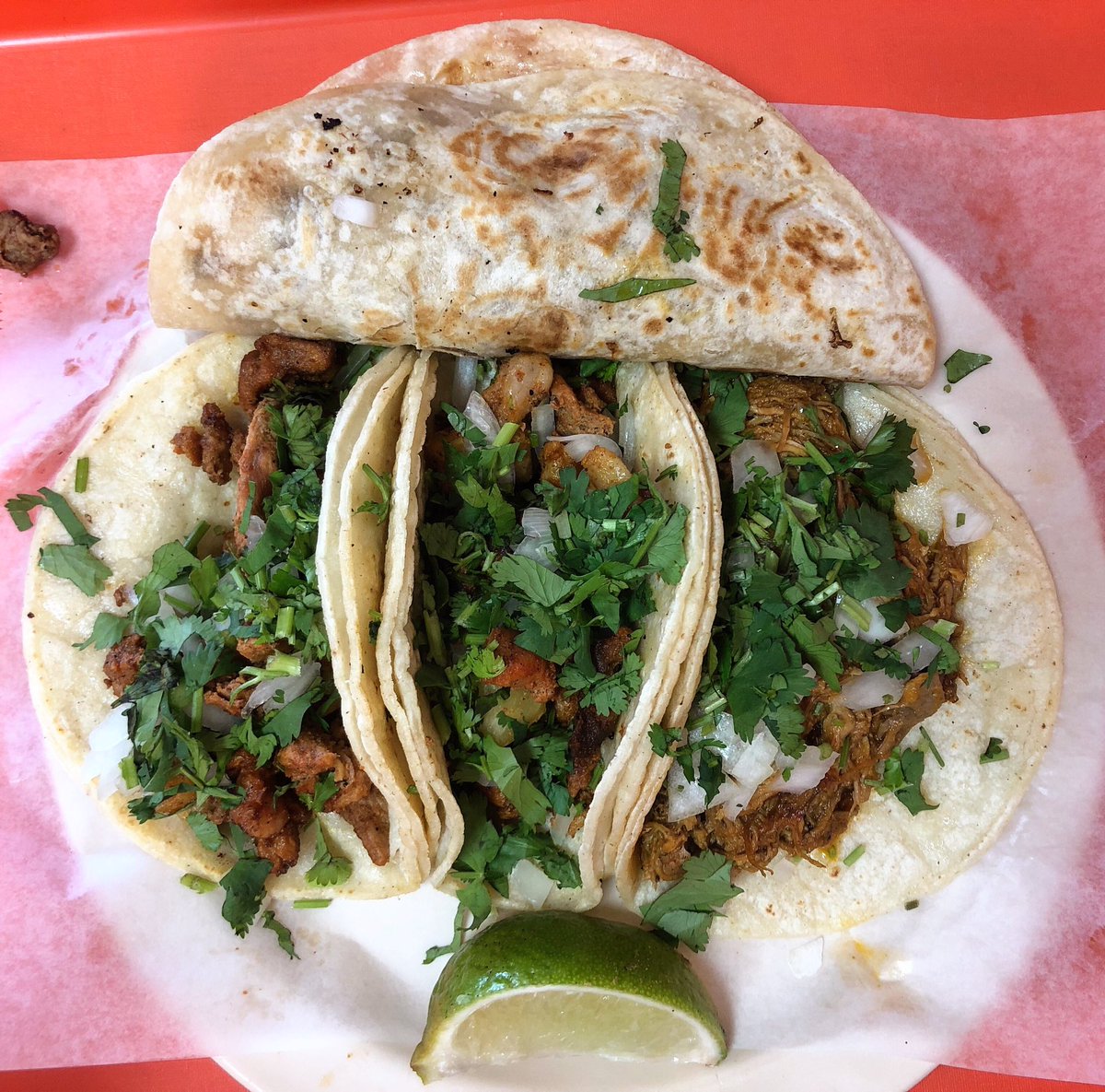 UnitedTacosUSA's tweet photo. The Cochinita Pibil was #bienlit! ๐ฅ๐ฅ๐ฅ
.
.
.
#Houston #LaBalaTaqueria #tacos #htxeats #htxtacos #houstontacos #htxfoodie #houstontexas #eeeeeats #foodie #taco https://t.co/RVNPWbrInP