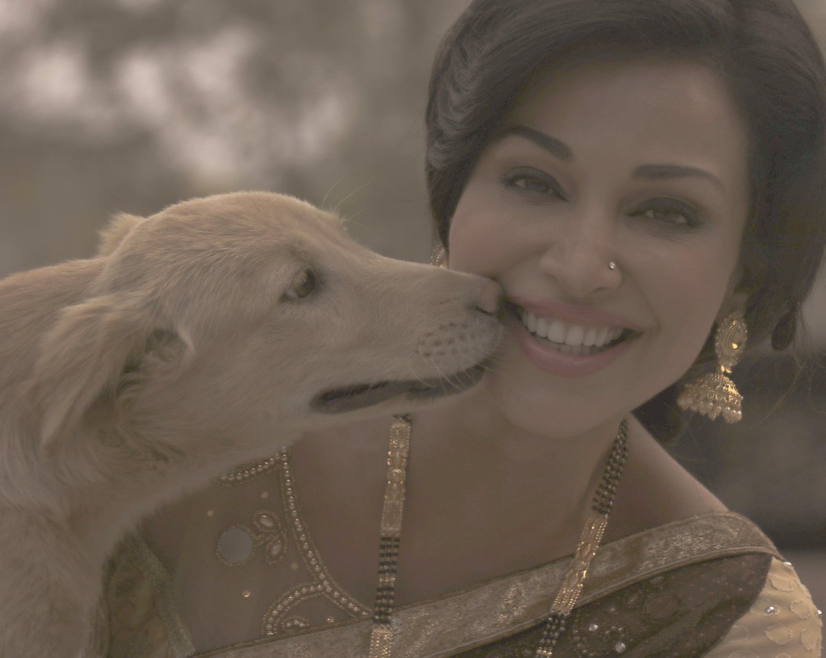 Flora_Saini's tweet photo. And then he kissed me!!! ❤️❤️❤️❤️🥰
.
.
.
#love #lovestory #loveatfirstsight #browneyedboy #him #her #puppylove #fairytale #tobecontinued #sunday #sf #stories #heshe https://t.co/SzwaneF0fl