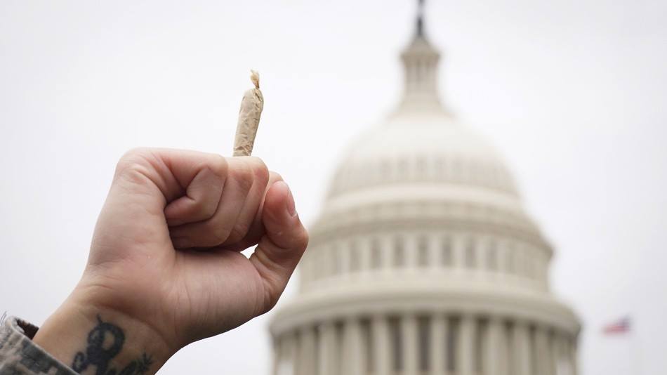 North_Maven's tweet photo. /Where the 2020 U.S. #presidential candidates stand on #legalization 
/ Mexican lawmakers come together to launch marijuana reform towards legalization
/ Canadian retailers shift focus due national shortage

https://t.co/YHgm8sC7Wf

#USelections #2020election #mexicancannabis https://t.co/ciAyNBFCqv