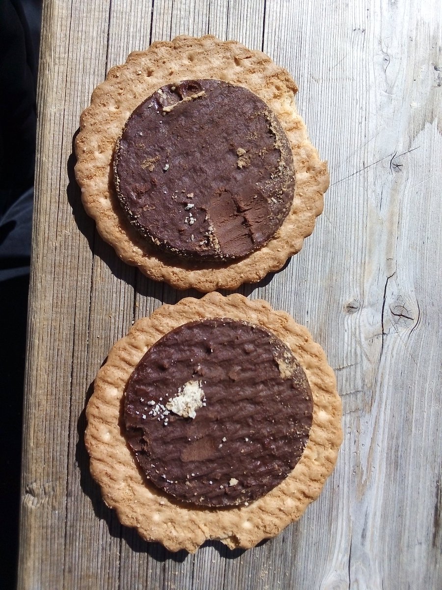 Jonas__VdB's tweet photo. Where is my chocolate? #princegate #cookiegate #petitprince #savethechocolate #cookiemonster @lu_officiel https://t.co/iExR4miauW