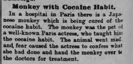 DrDouglasSmall's tweet photo. Meanwhile, in the Nineteenth Century... 😳 https://t.co/uneDUUCSxe