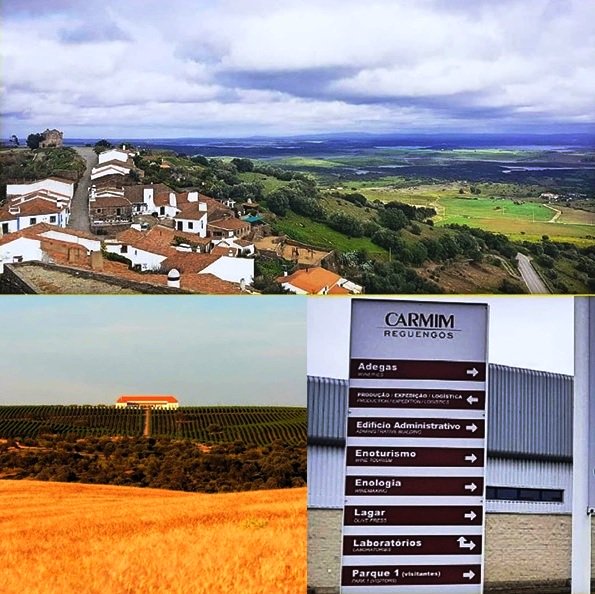 lavidaiberica's tweet photo. @lavidaiberica #ElCorteInglesPortugal #vinosibéricos #vinhosibéricos #Portugal #Lisboa #Extremadura #Alentejo #carmimreguengos #CARMIM @PalacioQuemado #ALVEAR
https://t.co/4QU5nf9V2x…/vinos-ibericos-en-el-corte-ingles… https://t.co/bH7TABAGYT