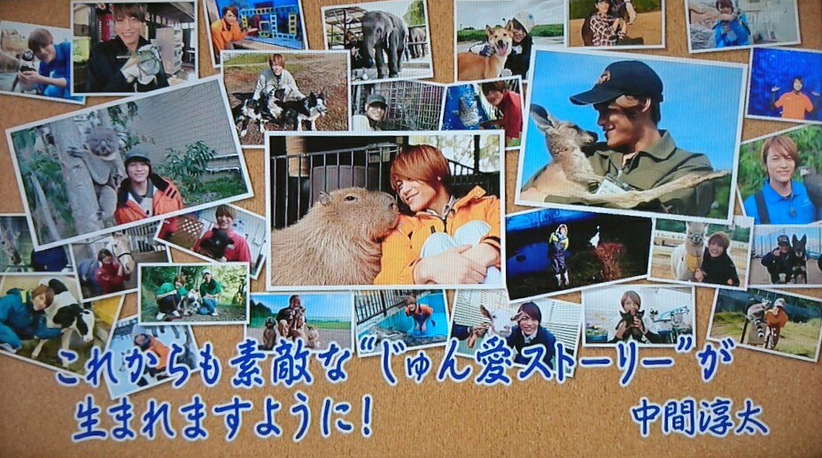 じゅん愛いきもの係 Twitter Search Twitter