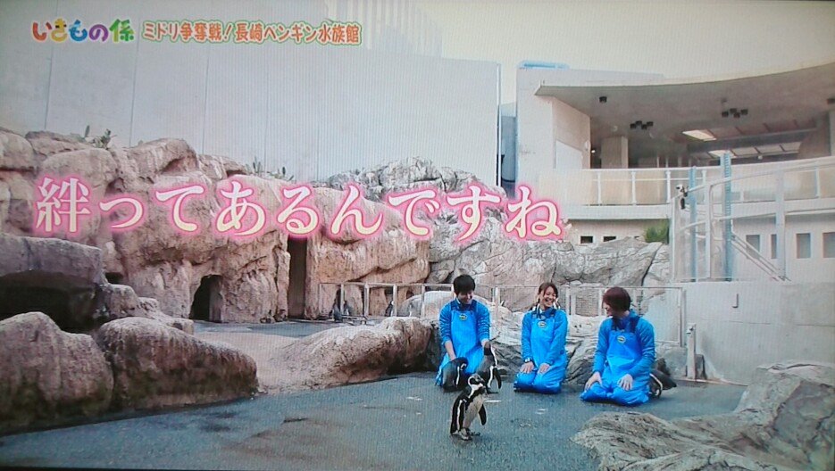 じゅん愛いきもの係 Twitter Search Twitter