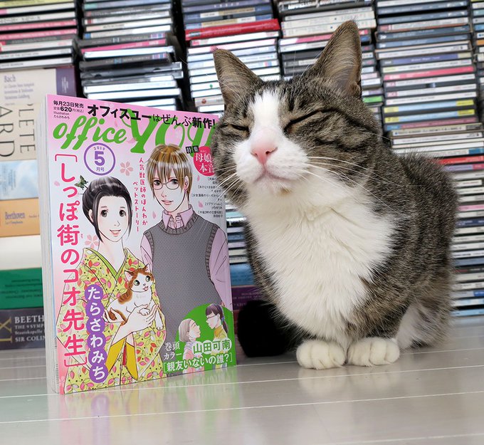 たらさわみち M Tarasawa さんのマンガ一覧 いいね順 ツイコミ 仮 たらさわみち M Tarasawa さんのマンガ一覧 いいね順 ツイコミ 仮
