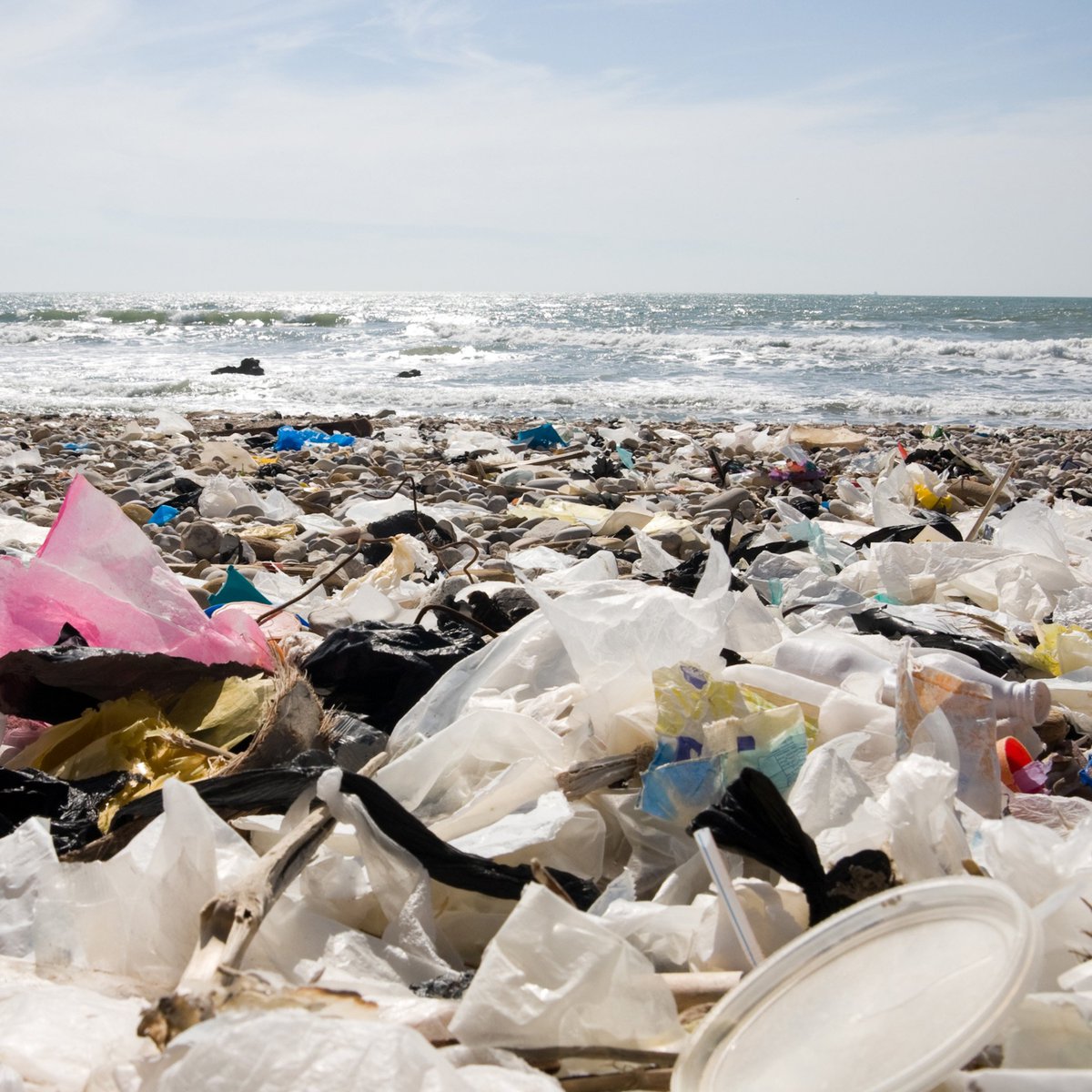 BASF's tweet photo. Did you know? Most of the world’s plastic waste is spread through rivers and can be traced back to 10 major rivers, mainly in Asia and Africa. BASF co-founded the Alliance to End Plastic Waste with global companies: https://t.co/OMk9EU7TSZ #worldwaterday #AEPW #sustainability https://t.co/frdkVLJuMM