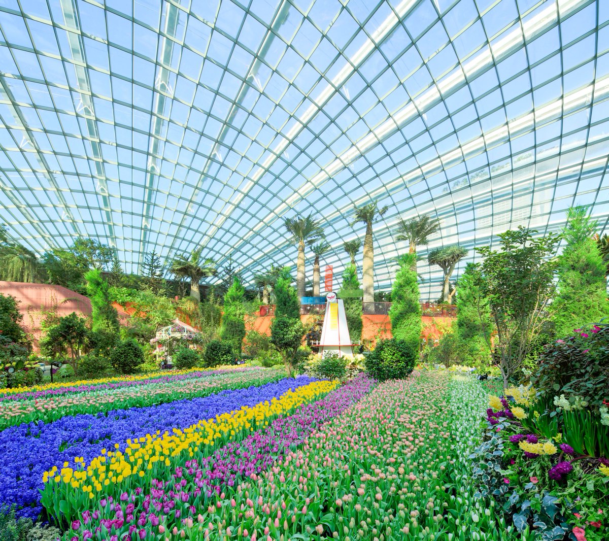AsiaEscape's tweet photo. Is a visit to @GardensbytheBay in #Singapore on your bucket list? 🌸 https://t.co/jjKnjaTVtg