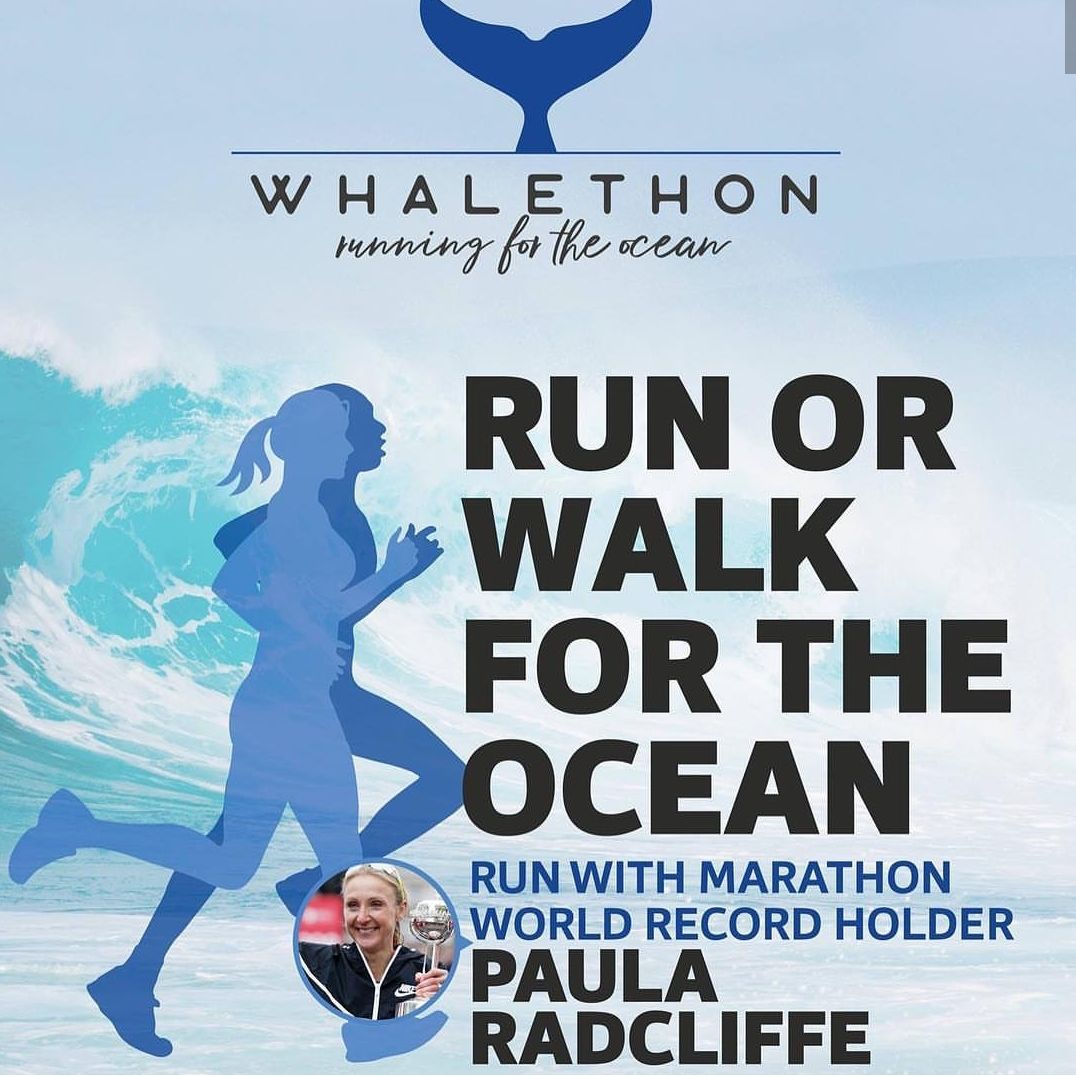 ActuMenton's tweet photo. Samedi 23.03.2019 Marche ou Course pour les Océans avec Paul Radcloffe à partir de 10h00 au Stade Rondelli #Menton #Menton06 #PACA #CotedAzurFrance #PaulaRadcliffe #RunForTheOcean #Ocean #StadeRondelli #Whalethon #RunningForTheOcean https://t.co/mANhrd9eVo