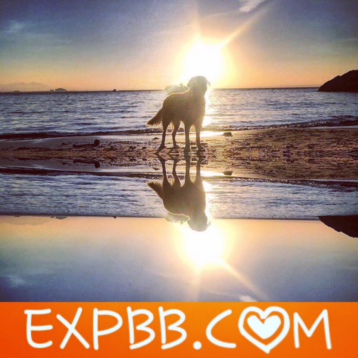 CMMyou's tweet photo. VIBE WITH US @ https://t.co/xG3Z63M1Mu
Peace, Love & Music! #pollypreen #wtmtu #bbxpr https://t.co/ZBFjDTC7YZ