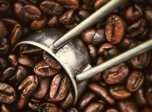 RoastGround's tweet photo. The #SwissWaterProcess – far from this being some continental beauty treatment it is actually a solvent-free way of decaffeinating unroasted #coffee beans. The only #solventfree method. Let’s dive into how it works and why it creates incredible decaf https://t.co/z90Q1VTCsc https://t.co/cGlbGv6ggi