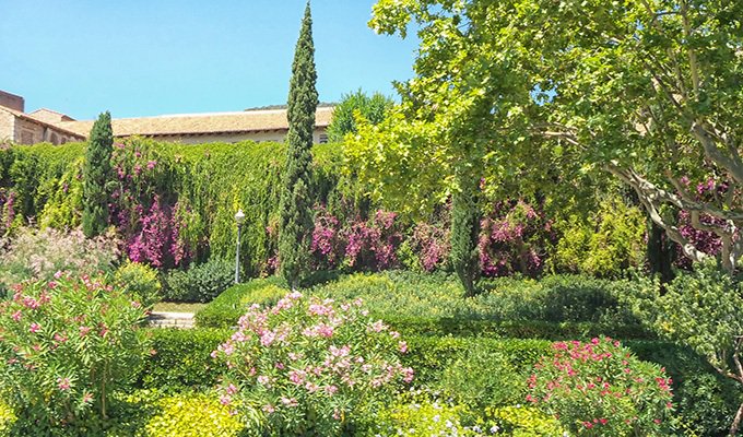 we__xperience's tweet photo. In Barcelona there is one hidden, with a wide range of enchanting gardens. Which is your favourite? 🌿😍 https://t.co/ncpSzNPKzF #secretgardens #gardensofbarcelona #lovetoexplore #bcn #spain #beautifuldestinations https://t.co/BUpJ32SoYt